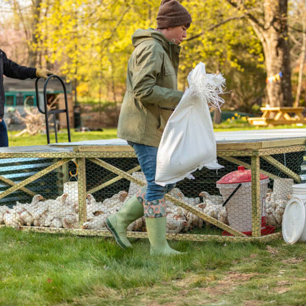 Muck Forager Hohe Stiefel Damen Grün | Deutschland-642801